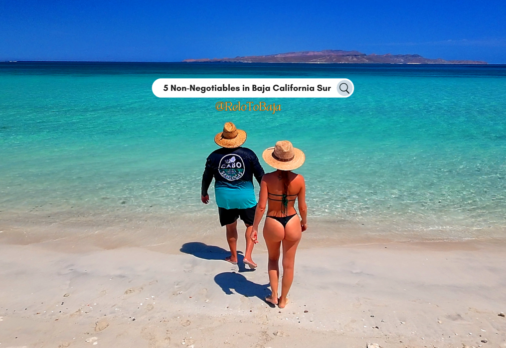 🌊 5 Non-Negotiables in Baja Sur: Why This Paradise Stands Out