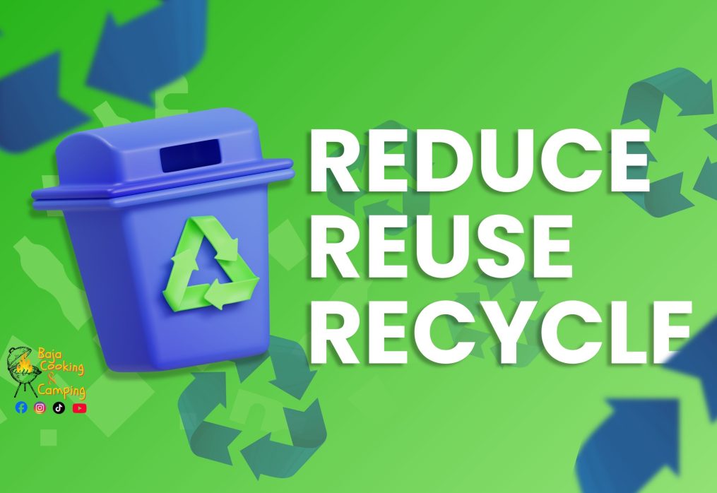 🌊💙 World Oceans Day 💙🌊